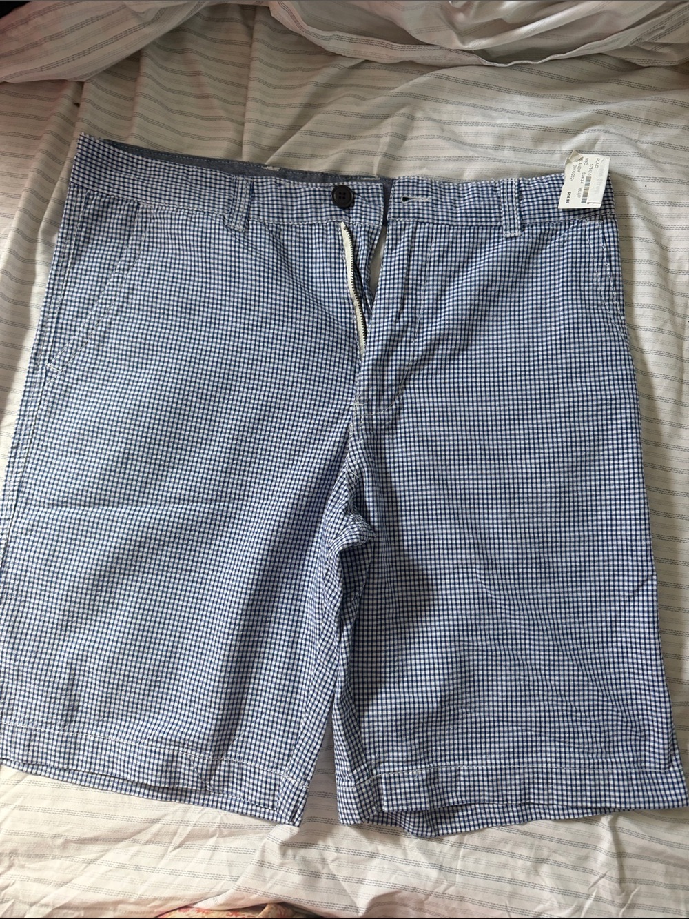 Men's Blue Gingham Flat Front Shorts